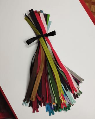 50 erniere (colore misto)  da 55cm