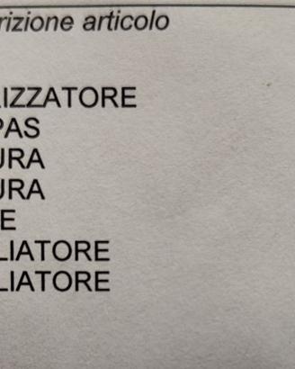 KIT frontale musetto carrozzeria per SKODA Octavia