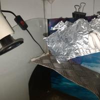 lampada riscaldamento acquario rettili