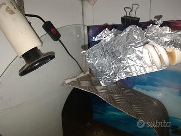 lampada riscaldamento acquario rettili