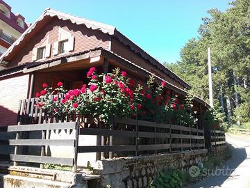 Chalet/Baita Camigliatello centro,Sila