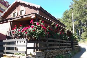 Chalet/Baita Camigliatello centro,Sila