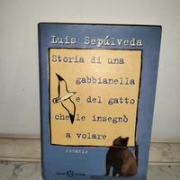 La gabbianella e il gatto