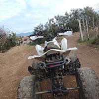 Quad 125