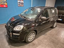 Fiat Panda 1.0 FireFly S&S Hybrid Pandina