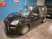 Fiat Panda 1.0 FireFly S&S Hybrid Pandina