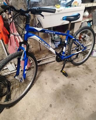Bicicletta olmo