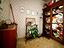Immagine 17