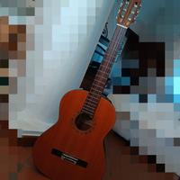 Chitarra acustica