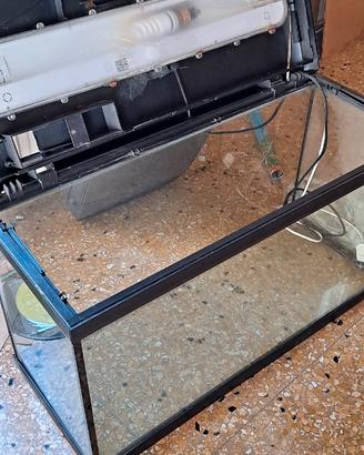 Acquario completo di tutti gli accessori