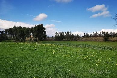 Terreno agricolo nel comune di Girasole.