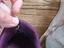 Immagine 3