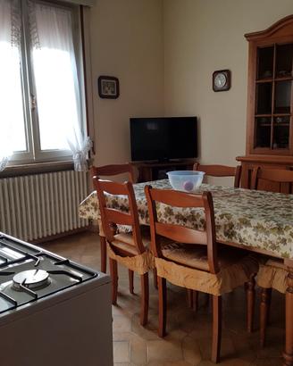Comodo alloggio a 4 km da mantova