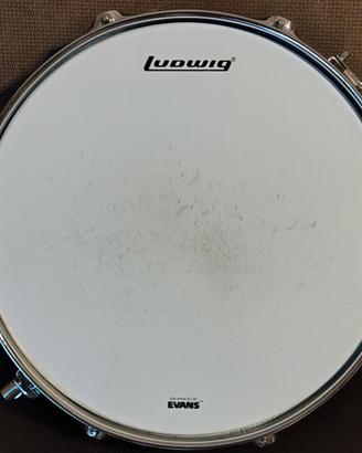 Rullante Ludwig LRS313EC 13x3