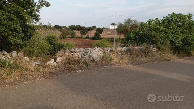 TER. AGRICOLO A MARTINA FRANCA