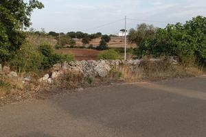 TER. AGRICOLO A MARTINA FRANCA