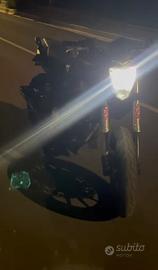 benelli bn302