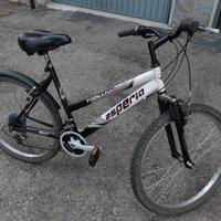 City Bike  da donna da 26 ESPERIA