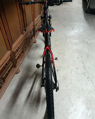 mountain bike in carbonio 29 l