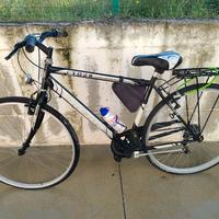 Bicicletta da adulto