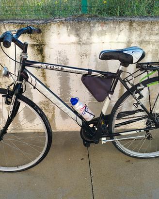 Bicicletta da adulto