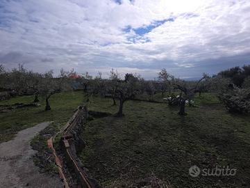 Terreno - San Pietro Clarenza