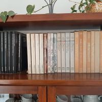 monografie libri d'arte istituto bancario