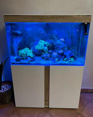 Acquario askoll 200lt