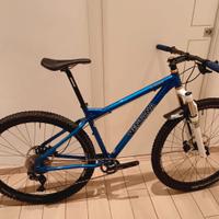 Mtb 29er VENTANA EL PADRINO da amatore 