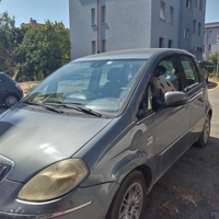 Lancia musa