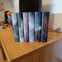 Serie libri The Witcher (non completa)