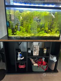 Acquario 200l