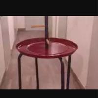 Trespolo per uccelli