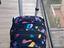 Immagine 6