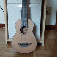 Ukulele e relativa custodia