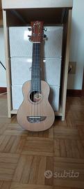 Ukulele e relativa custodia