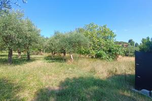 TERRENO EDIFICABILE PER SINGOLA VILLETTA