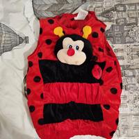 Vestito carnevale coccinella