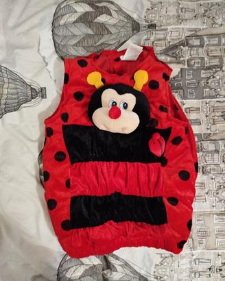Vestito carnevale coccinella