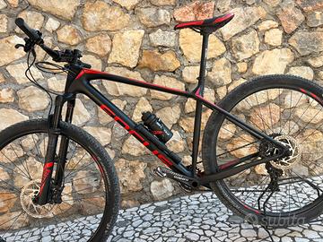 Mtb focus raven