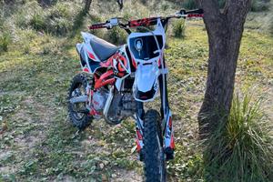 Pit bike kayo tt 140 2024