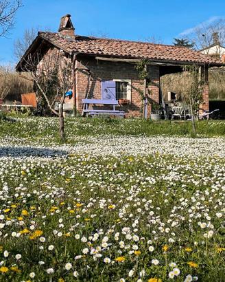 Terreno agricolo