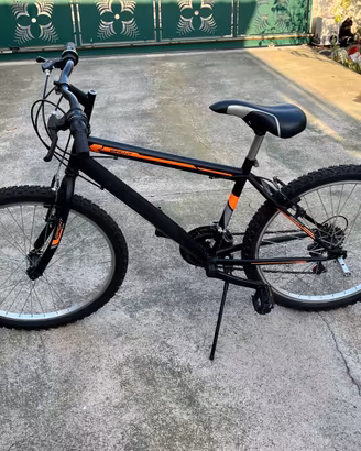 Mountain bike 24'