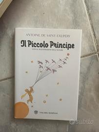 Il piccolo principe