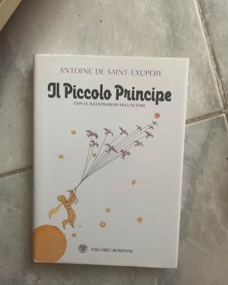 Il piccolo principe
