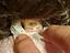 Immagine 4
