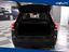 Immagine 7