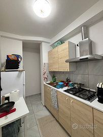 Vicino facoltà medicina, camera cucina e bagno