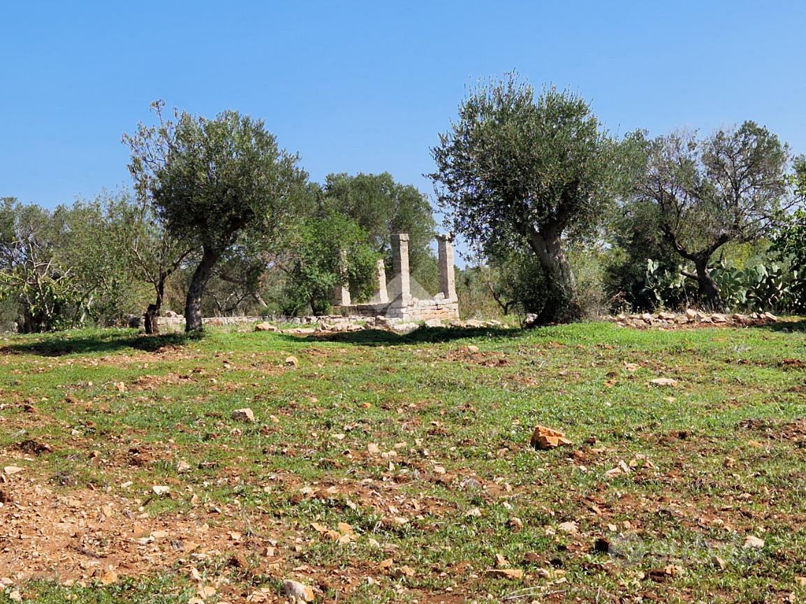 TER. AGRICOLO A POLIGNANO A MARE - Vista 5