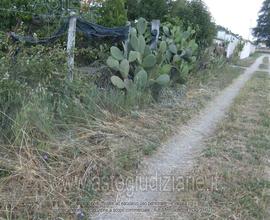 Terreno Agricolo Nettuno [A4285693]